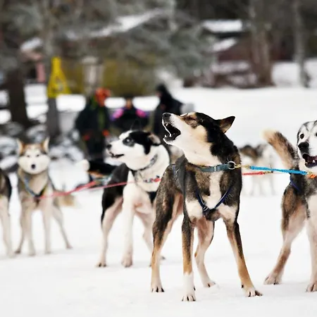 Πανδοχείο Kievari Rantapirtti